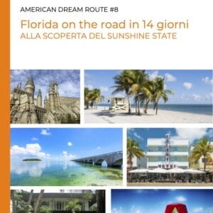 Ebook Florida Copertina