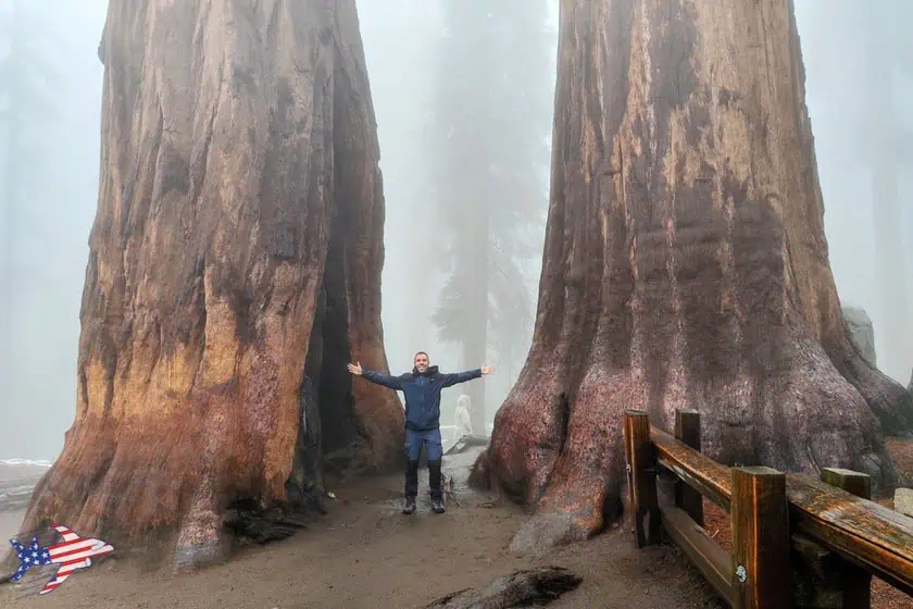 Sequoia National Park - Sequoie sullo Sherman Tree Trail