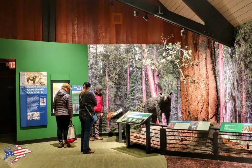 Sequoia National Park - Visitor center interno