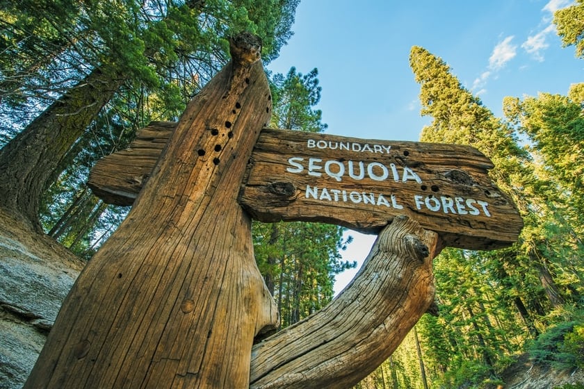 sequoia california