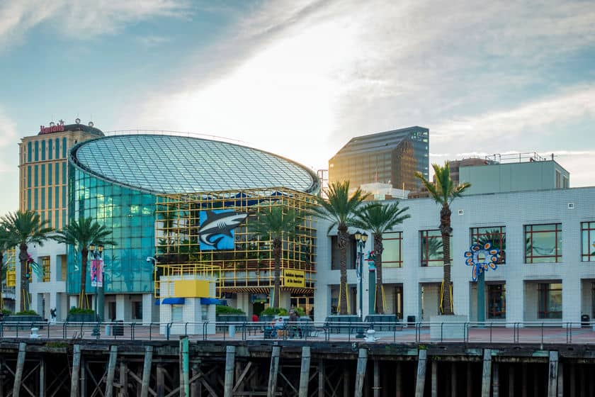Audubon Aquarium