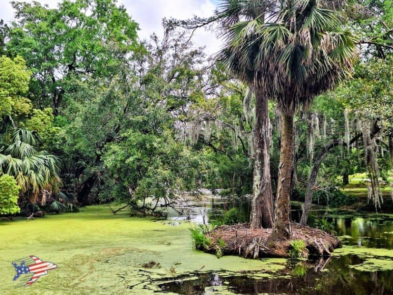 Bayou Metairie