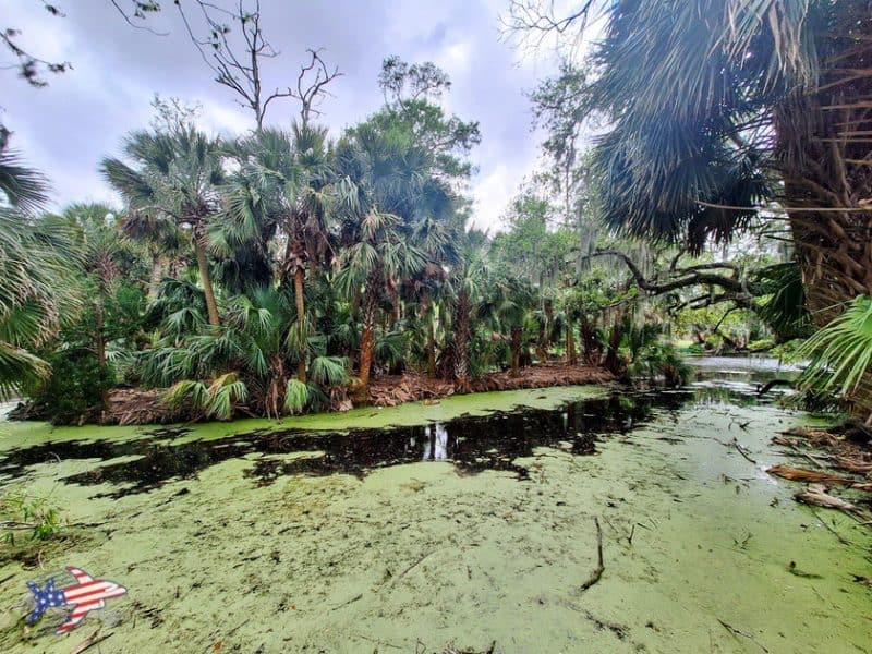 Bayou Metairie new orleans