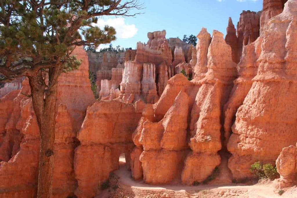 Escursioni Bryce Canyon