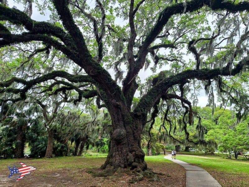 city park