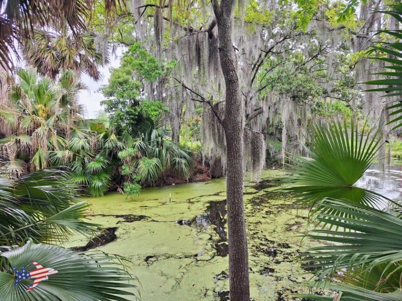 city park bayou