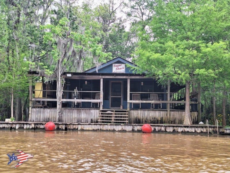 new orleans swamp tour