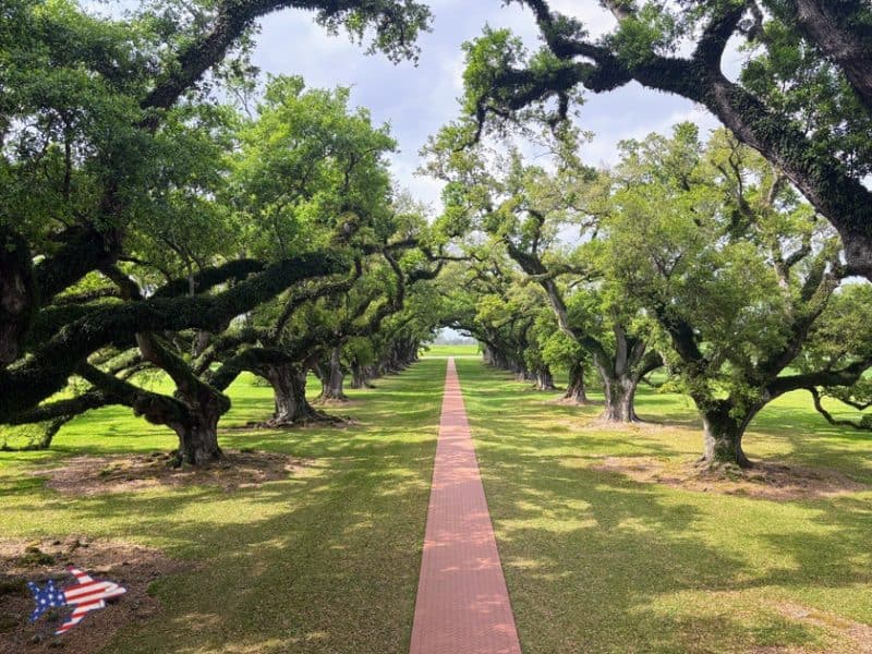 oak alley plantation
