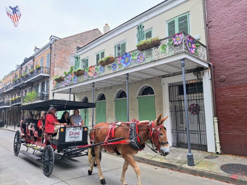tour guidati new orleans