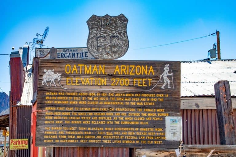 Oatman Route 66 cosa vedere