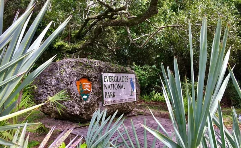 Everglades Cosa Vedere