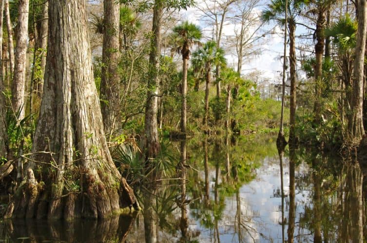 viaggio in florida cosa vedere