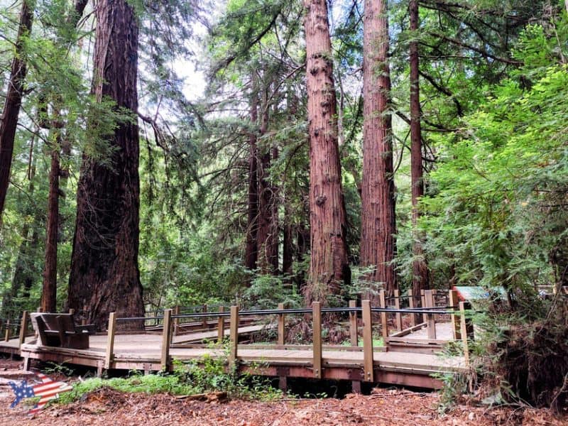 redwood deck