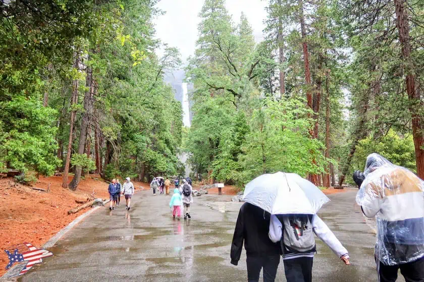 Lower Yosemite Falls sentiero