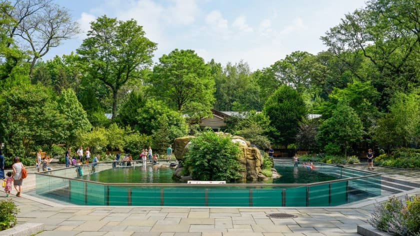 Central Park Zoo