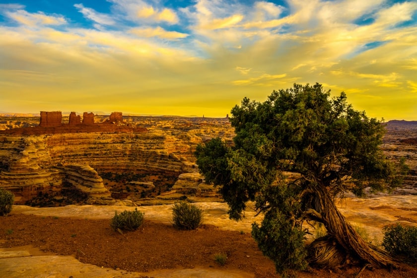 the maze canyonlands