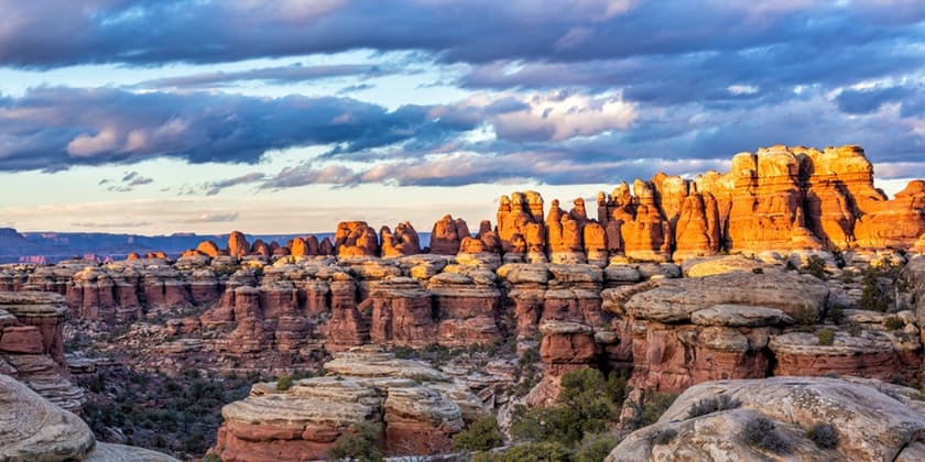 canyonlands needles