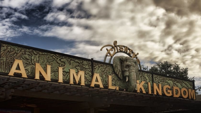 Disney World Orlando come arrivare
