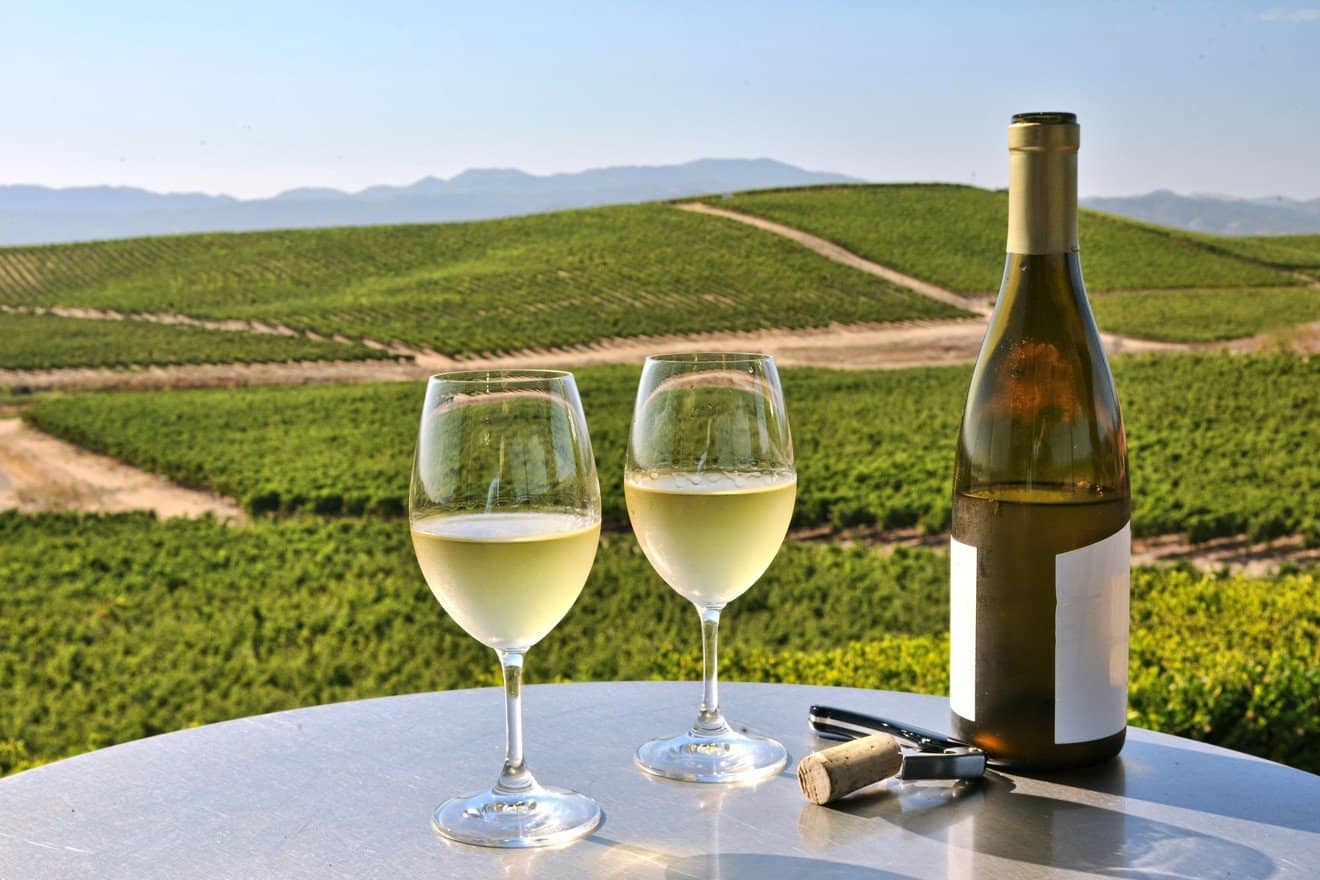 california wine tours.com