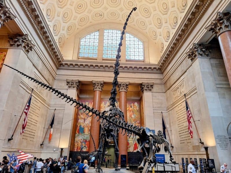 the american museum of natural history ingresso