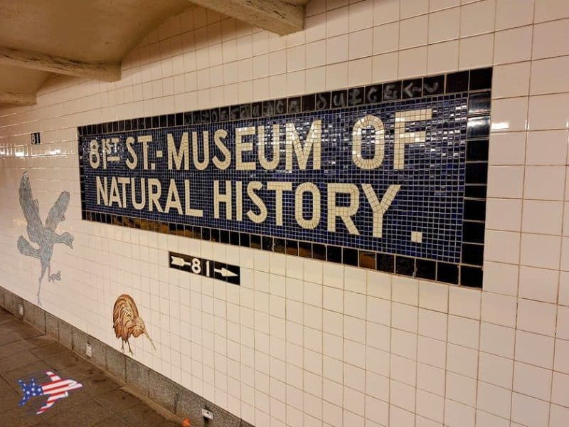 metro museo di storia naturale new york