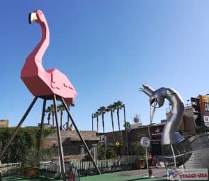 pink flamingo