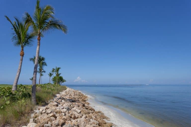 Captiva Island Cosa Vedere