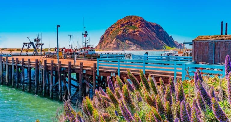 Morro Bay cosa vedere
