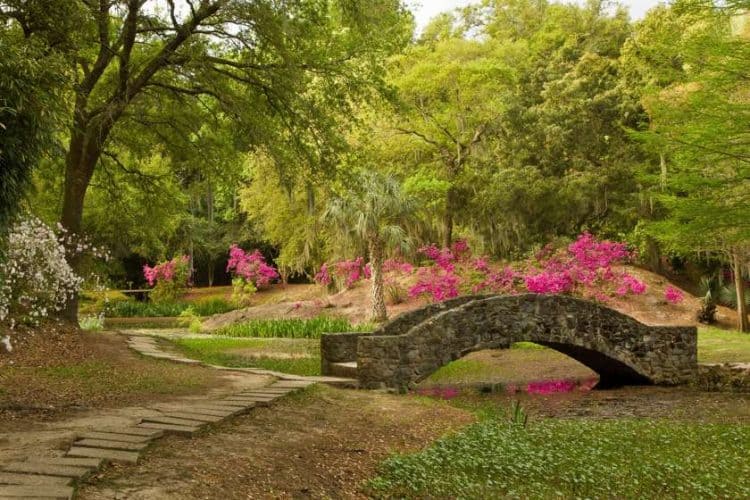 Louisiana Cosa Vedere