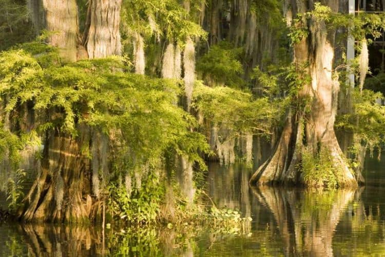 Louisiana Top 10