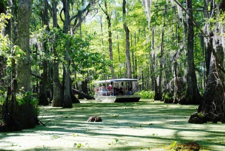 Louisiana cosa vedere