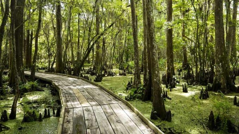Louisiana cosa vedere