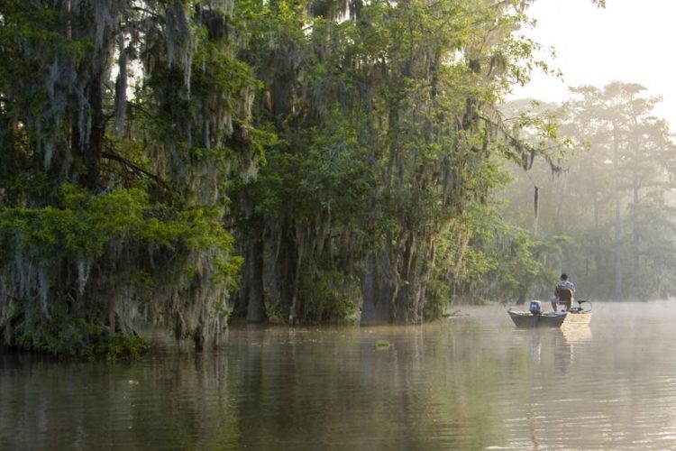 Louisiana cosa vedere