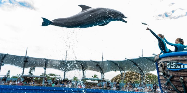 Miami Seaquarium