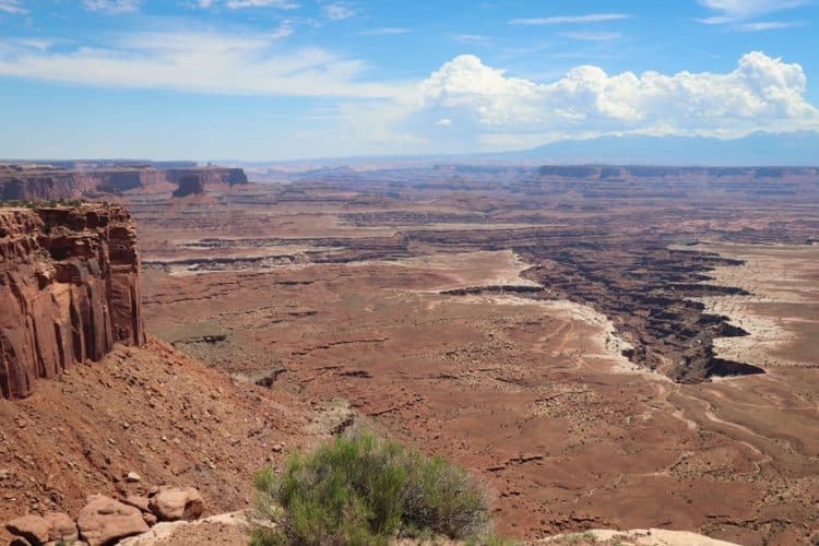 Buck Canyon Overlook