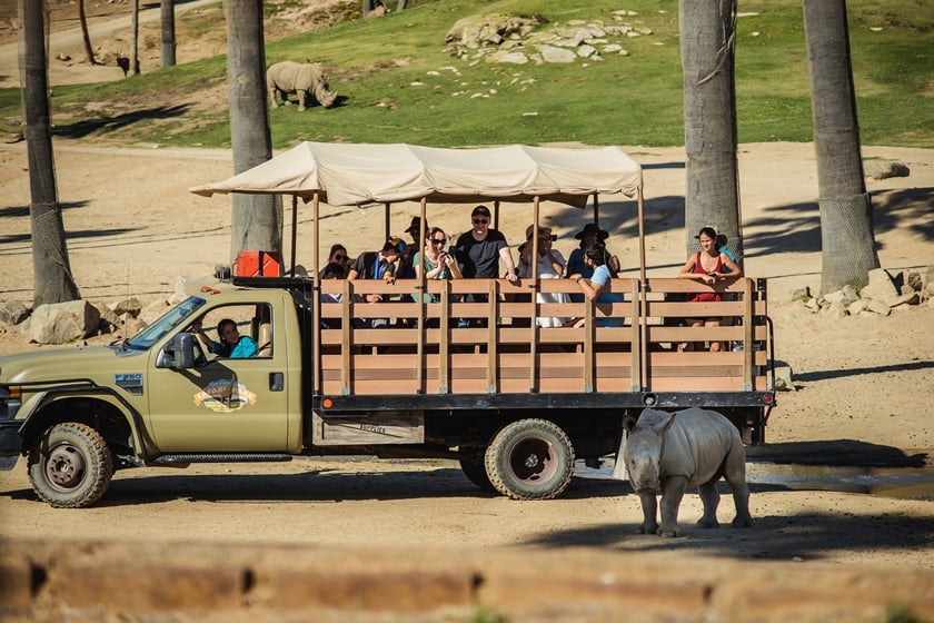 San Diego Zoo Safari cosa vedere