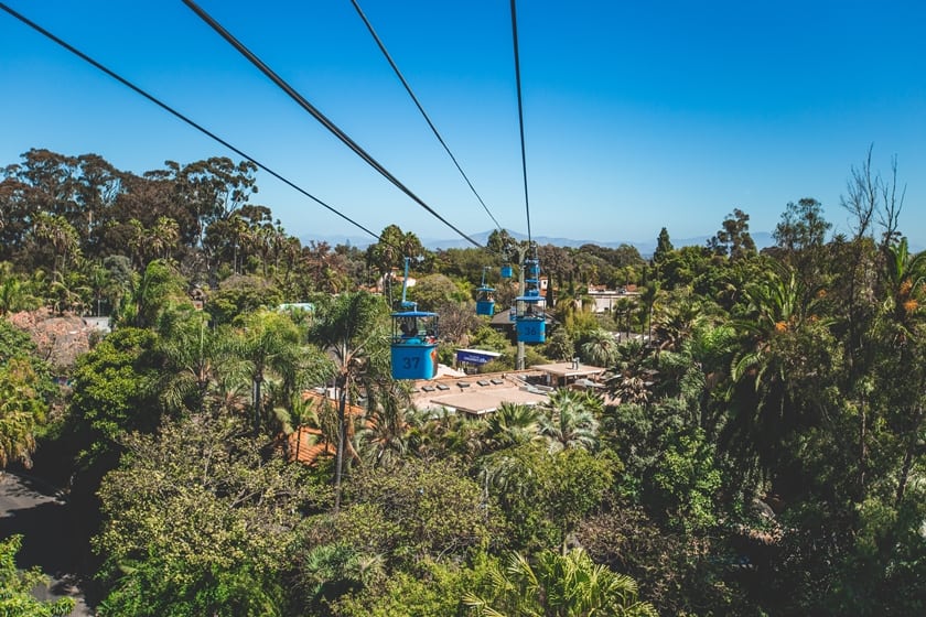 San Diego Zoo cosa vedere