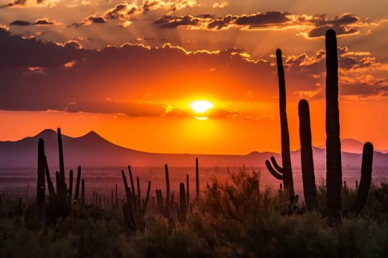 parchi-arizona