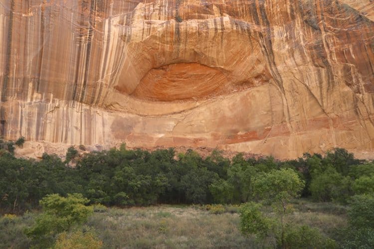 Calf creek granary