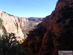 Navajo National Monument Aspen Forest overlook