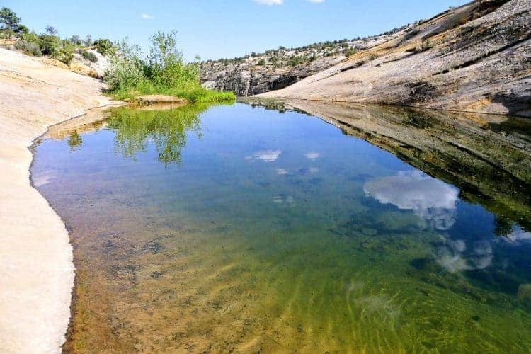 Upper Calf Creek falls piscina