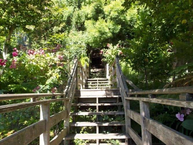 filbert steps