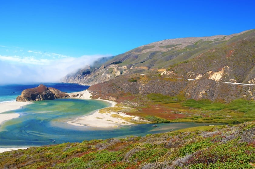 balene costa california