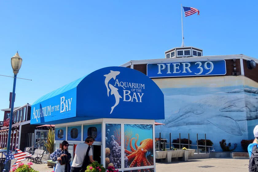 Aquarium of the Bay Pier 39 San Francisco