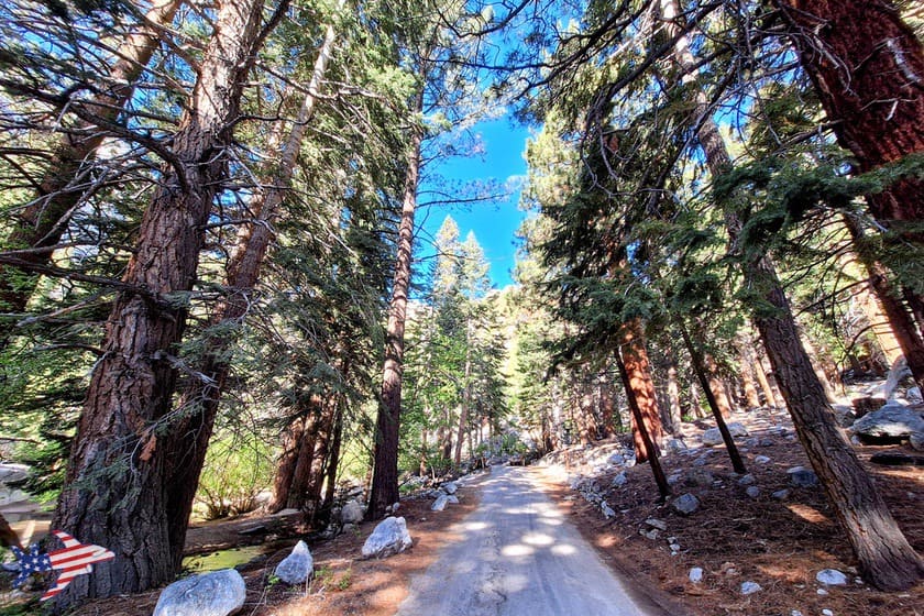 Whitney Portal Road - Tratto di strada nel bosco