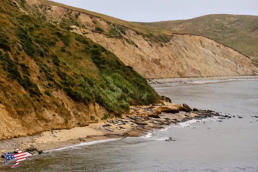 Point Reyes - Elephant Seal Overlook - Elefanti Marini 2