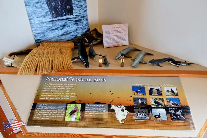 Point Reyes Lighthouse - Interno del visitor center 1
