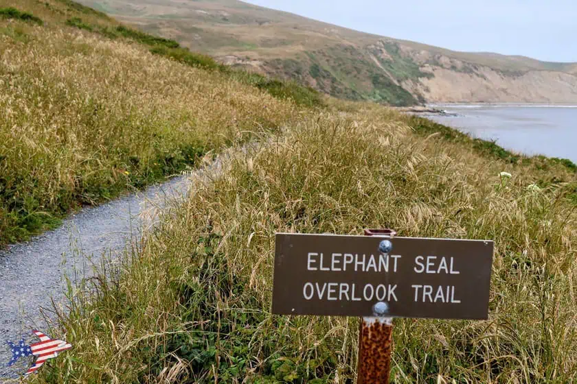 Point Reyes - Sentiero per Elephant Seal Overlook