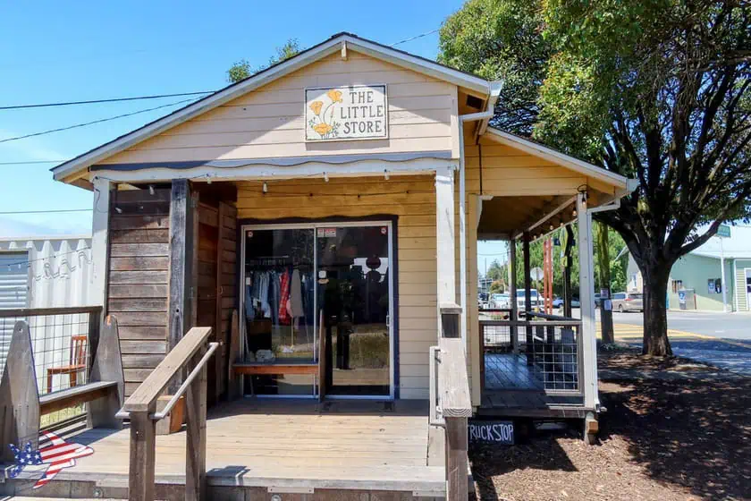 Point Reyes Station - The Little Store