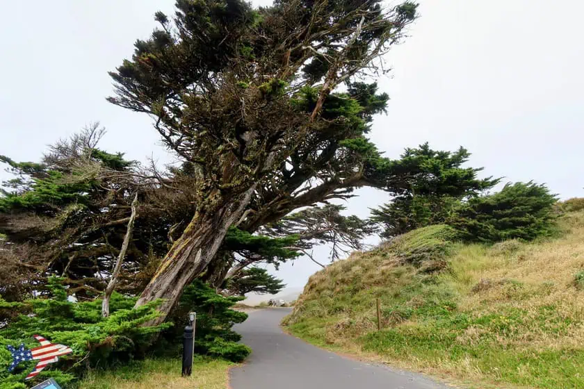Strada Point Reyes Lighthouse